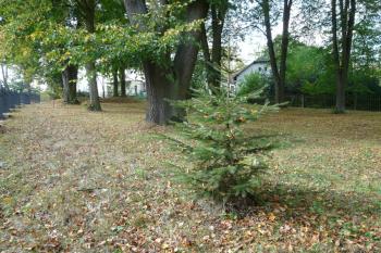 Napoleonský hřbitov (© Jaroslav Šefčík, 10/2009)
