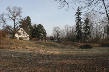  (© Jan Švejkar, 01/2009)