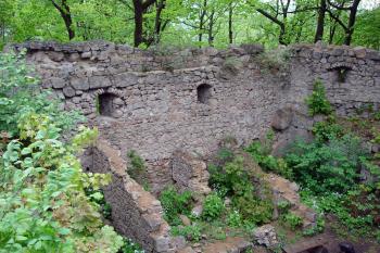 Zbytky stavby v severní části předhradí ( © Iva Spurná 8.5.2007)
