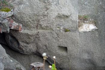 Draže po dřevěných konstrukcích na severním výchozu jádra hradu ( © Iva Spurná 8.5.2007)