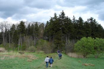 Přístupové cesty ke zřícenině vedou druhotně podmáčenými loukami po náspech ( © Iva Spurná 8.5.2007)