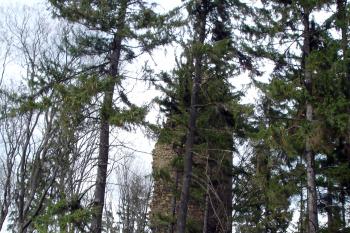Pozůstatek bergfritu ( © Iva Spurná 8.5.2007)