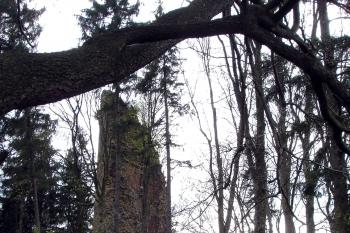Pozůstatek bergfritu ( © Iva Spurná 8.5.2007)