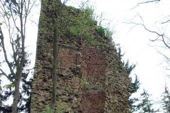 Pozůstatek bergfritu ( © Iva Spurná 8.5.2007)