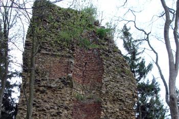 Pozůstatek bergfritu ( © Iva Spurná 8.5.2007)