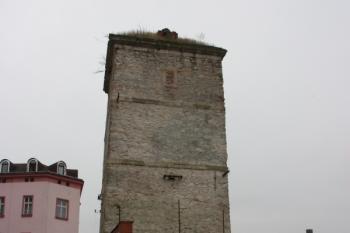 Věž od severu ( © Ivan Grisa 10/2009)