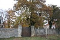 židovský hřbitov