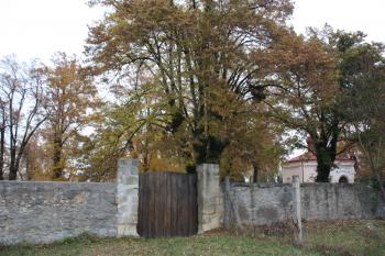 Horní brána hřbitova ( © Ivan Grisa 10/2009)