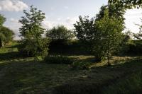 Hradec u Stoda