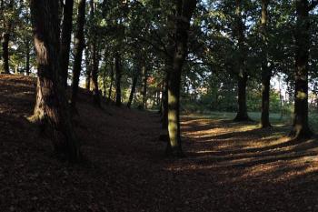 panorama mohutného čelního valu ( © Jan P. Štěpánek 10/2015)