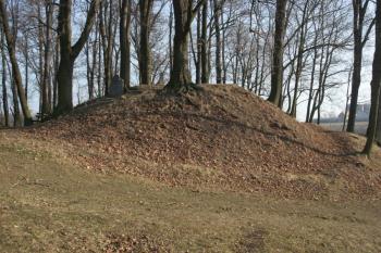 Val od jihozápadu (© Jan Švejkar, 01/2009)