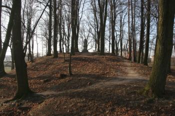  (© Jan Švejkar, 01/2009)