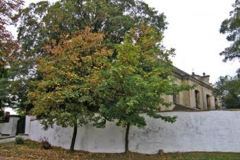 Ohradní zeď kolem kostela a hřbitova s hlavním vchodem ( © Pavel Vítek 09/2009)
