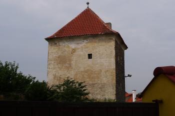  (© Karel Husák, 08/2011)