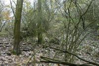 Humniště