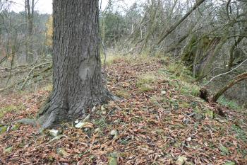 Val mezi prvním a druhým příkopem (© Prudký Martin, 11/2009)