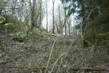 Východní svah (© Prudký Martin, 11/2009)