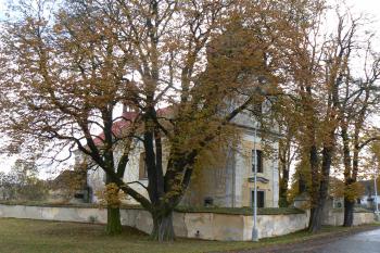  (© Prudký Martin, 10/2009)