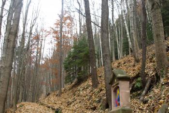 cesta k třetímu zastavení ( © Milan Caha 11/2009)