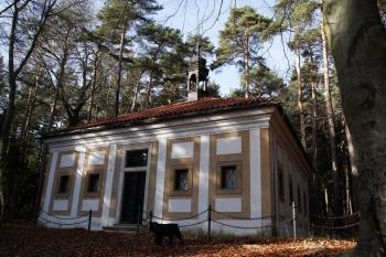  ( © Iva Spurná 9.11.2008)