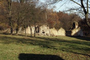  ( © Iva Spurná 9.11.2008)