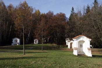  ( © Iva Spurná 9.11.2008)