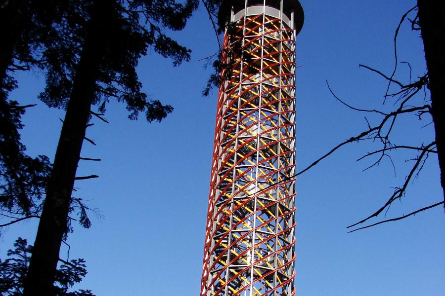 Vartovna