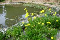 arboretum