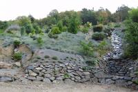 arboretum