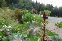 arboretum