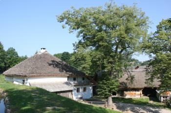 Mlýn z hráze rybníka ( © Ivan Grisa 07/2010)