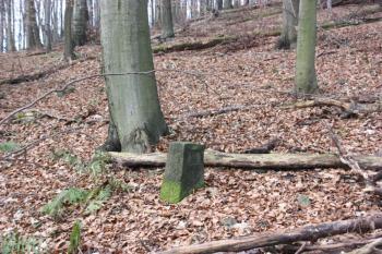 Hraniční kámen býnoveckého a kamenického panství ( © Ivan Grisa 11/2009)