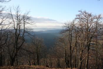 Pohled k Děčínu ( © Ivan Grisa 11/2009)