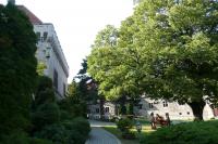 Smolenice
