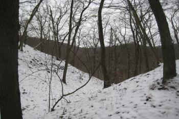  (© Zdeněk Susa, 12/2014)