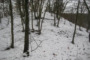  (© Zdeněk Susa, 12/2014)
