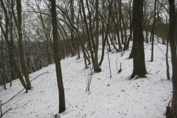  (© Zdeněk Susa, 12/2014)