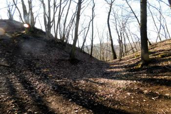 příkop - únor 2019 ( © Milan Caha 02/2019)