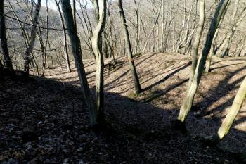příkop - únor 2019 ( © Milan Caha 02/2019)