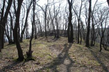  ( © iV 1.4.2007)