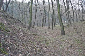  ( © Iva Spurná 04/2007)
