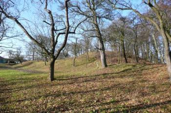 celkový pohled na tvrziště Sáhov ve Špičkách od východu ( © Jan P. Štěpánek 11/2009)