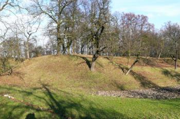 celkový pohled na tvrziště Sáhov ve Špičkách od jihozápadu ( © Jan P. Štěpánek 11/2009)