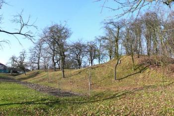 celkový pohled na tvrziště Sáhov ve Špičkáchod jihovýchodu ( © Jan P. Štěpánek 11/2009)