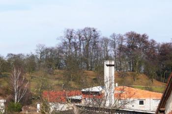 pohled na výrazné terénní pozůstatky tvrziště Sáhov ve Špičkách od jihu ( © Jan P. Štěpánek 11/2009)
