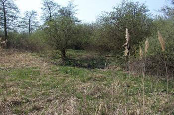 Pohled od jihovýchodu ( © Roman Řezáč 04/2009)