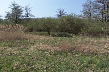 Celkový pohled od jihovýchodu ( © Roman Řezáč 04/2009)