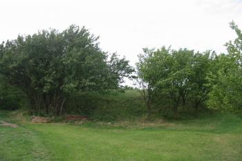 Tvrziště od jv. (© Dušan Dohňanský 08/2014)