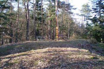  (© Jan Švejkar, 03/2009)