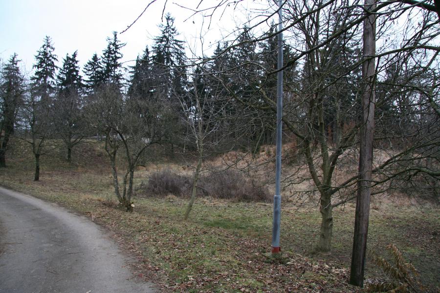 Popovec